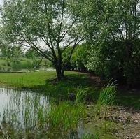 Fort Erie Sugarbowl Park